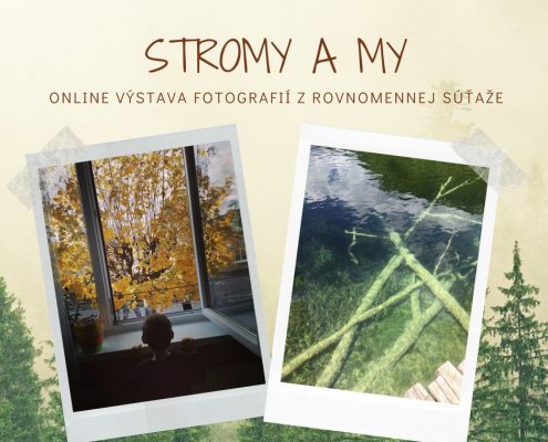 Online výstava fotografií: Stromy a my