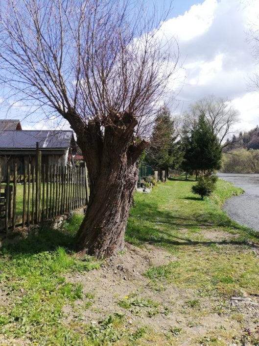 Bencúrová Alica - U babky za plotom