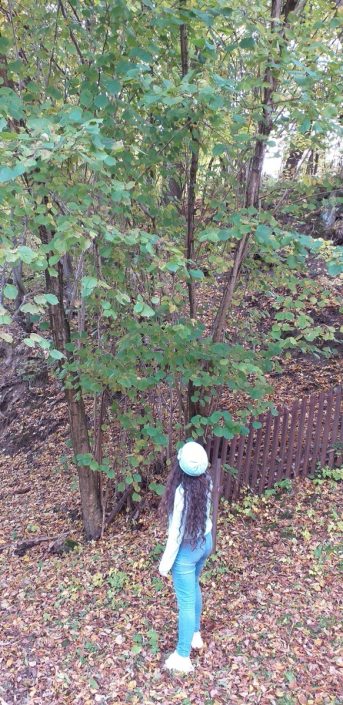 Salvová Natália - Dievča jesene (pri Florinovom dome)