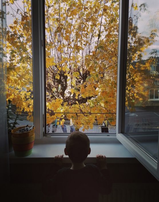 Kopčáková Daniela - Keď je pekná jeseň (ešteže máme tú prírodu v týchto ťažkých časoch rovno pred oknom)