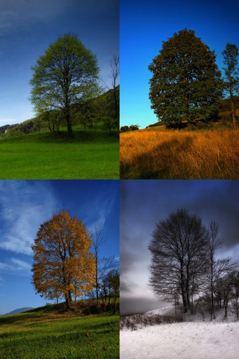 Bednárik Juraj - 4 ročné obdobia