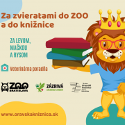 Do ZOO a do knižnice ...za levom, mačkou a rysom