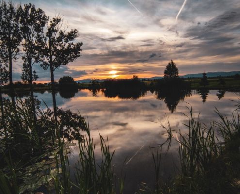 Vyhodnotenie súťaže Stromy a my