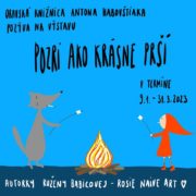 Výstava: Pozri, ako krásne prší