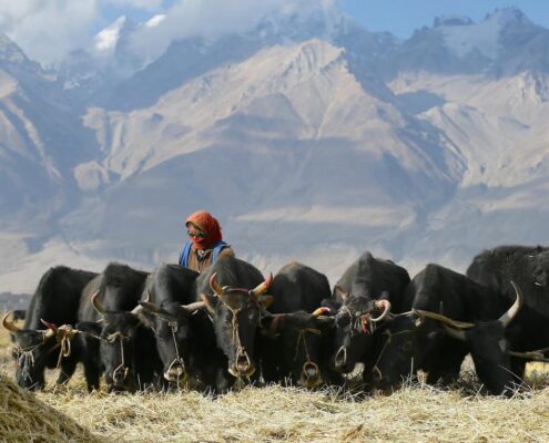 Best of Expedičná kamera – Tibet a Himaláje